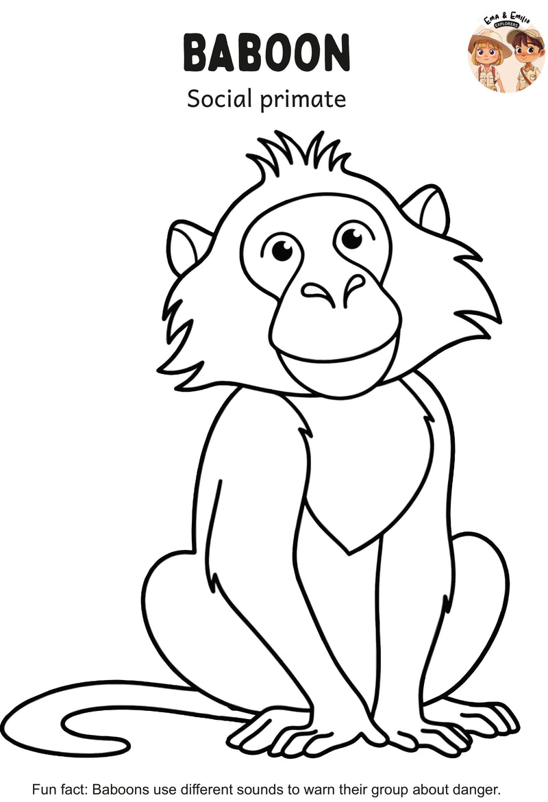 Baboon