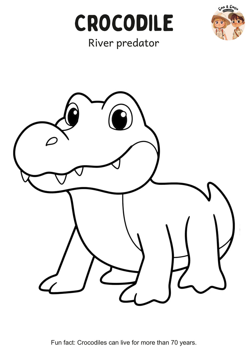 Crocodile