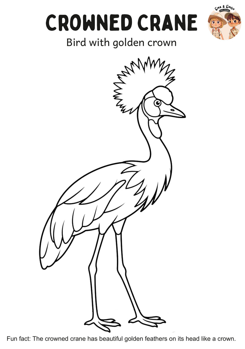 Crowned Crane