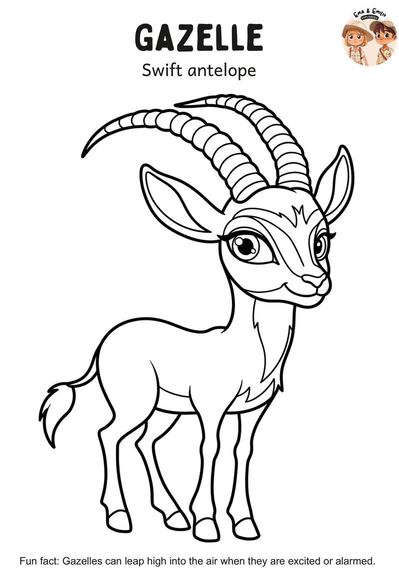 Gazelle
