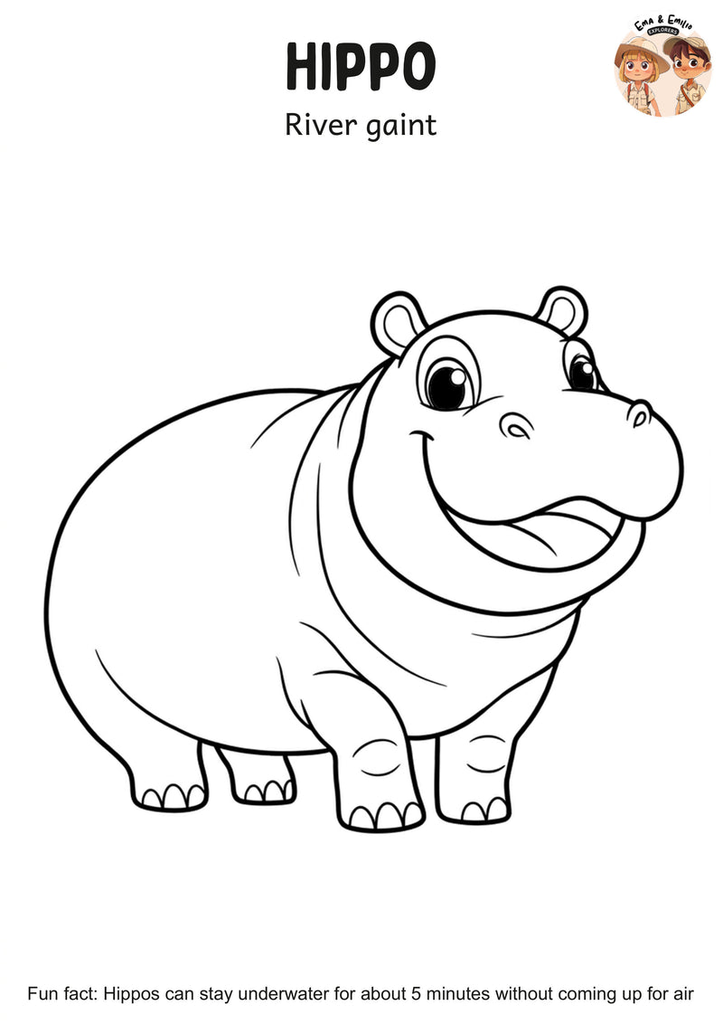 Hippo