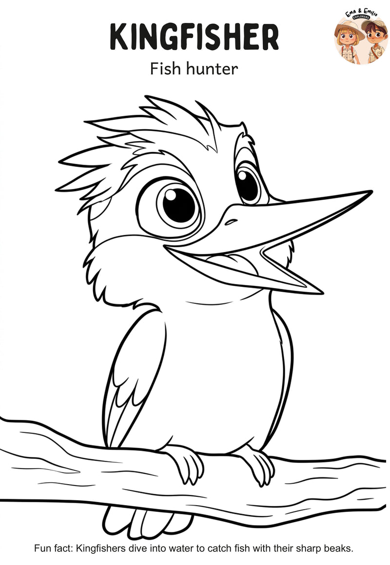 Kingfisher