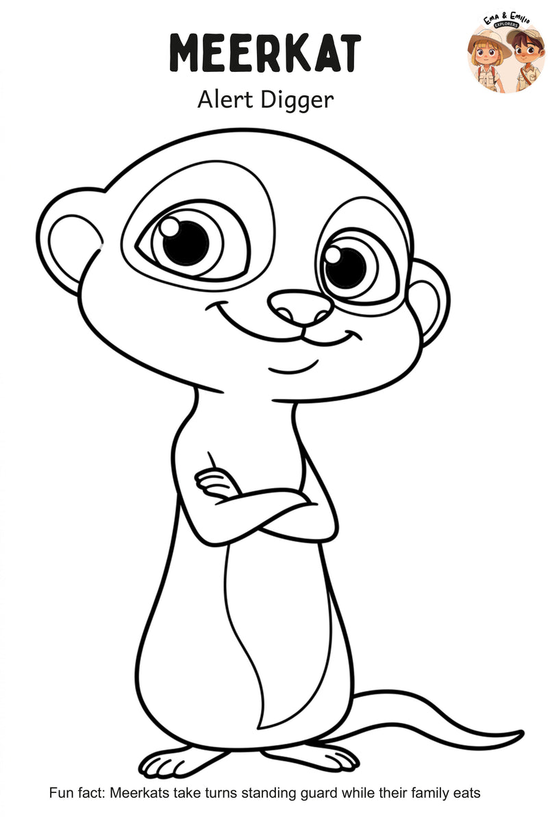 Meerkat