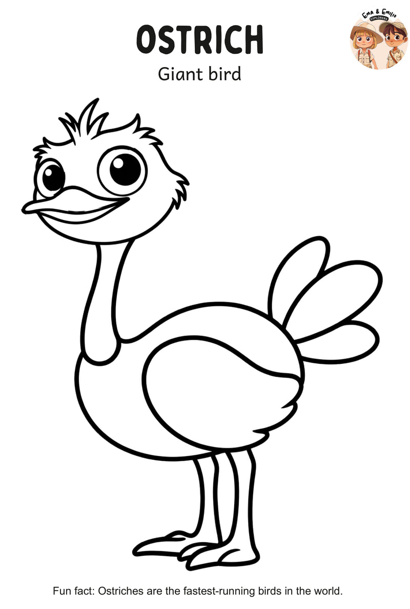 Ostrich