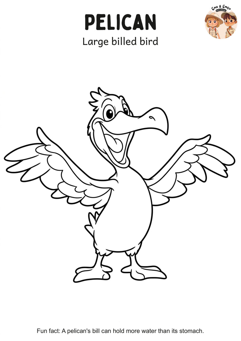 Pelican