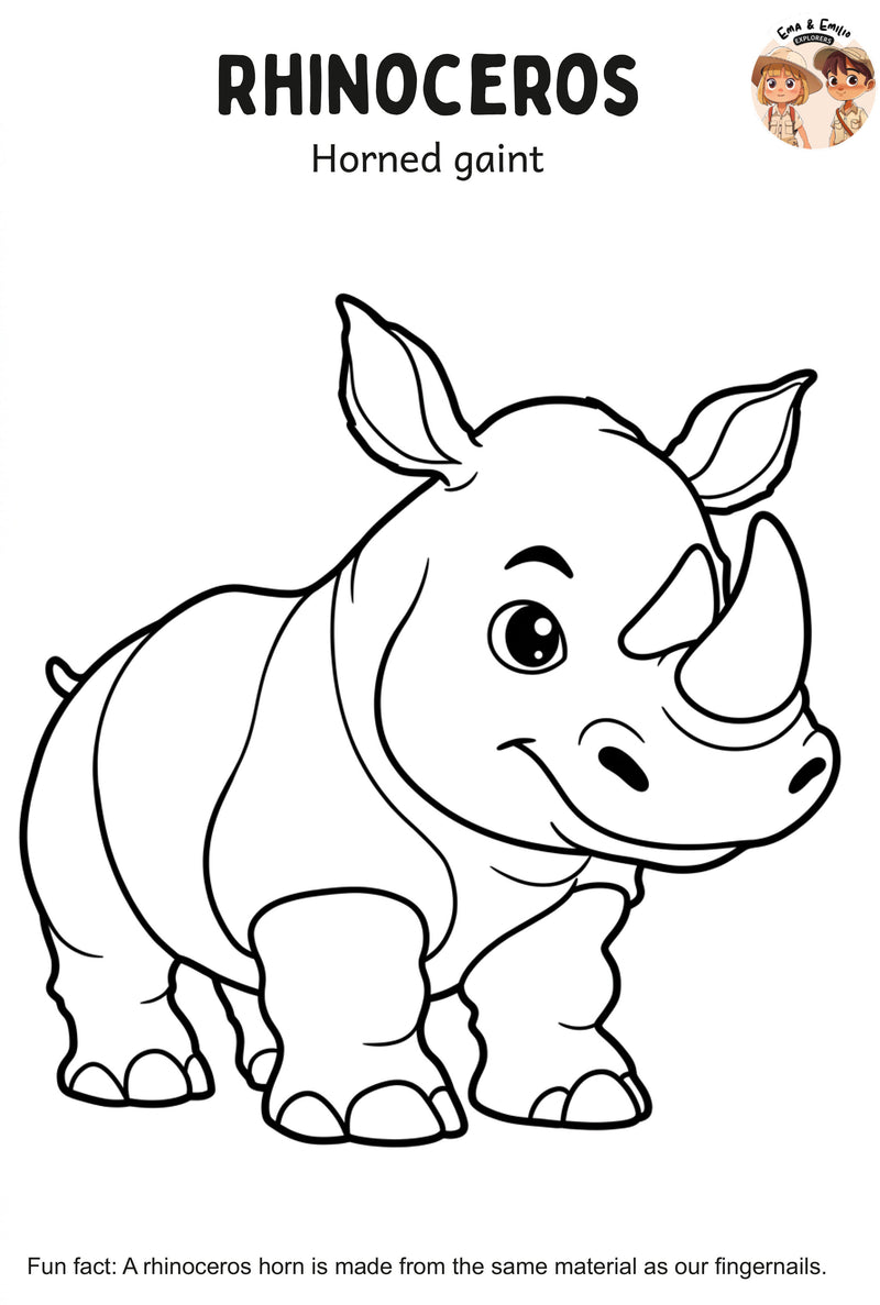 Rhinoceros