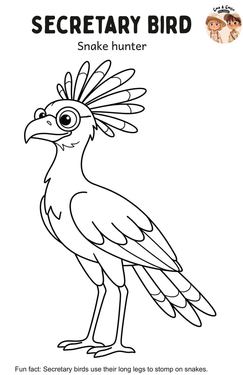Secretary bird