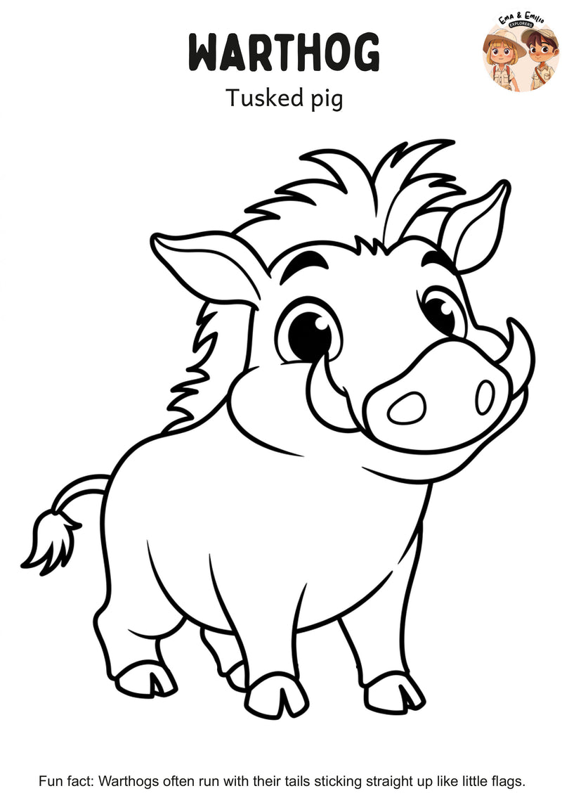 Warthog