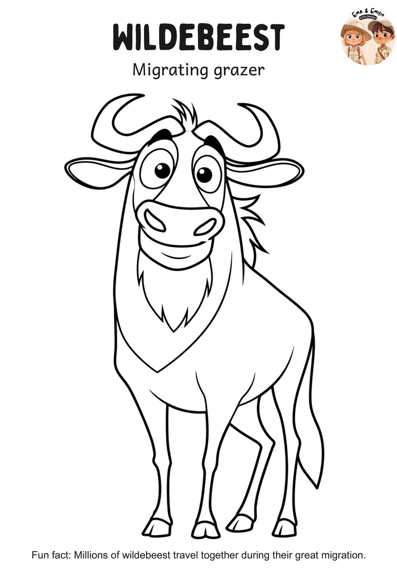 Wildebeest